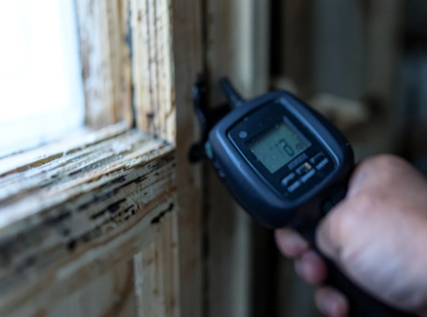 Commercial Water Damage Restoration in Donna, TX